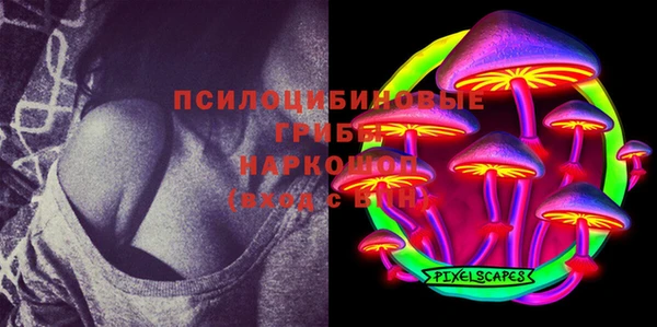 тгк Козловка