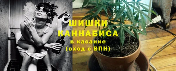 spice Кодинск