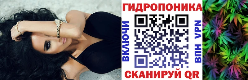 Бошки Шишки OG Kush  Купить где  Краснодар 